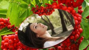 Красная рябина