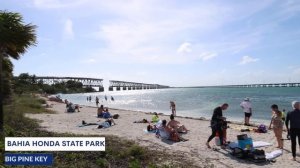 WATCH THIS BEFORE YOU GO TO THE FLORIDA KEYS! | Ultimate Florida Keys Road Trip Guide