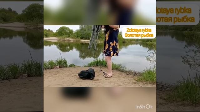 Золотая рыбка