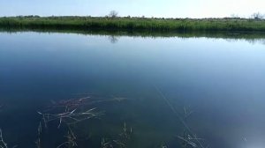 Рыболовная снасть "Резинка" универсальная.