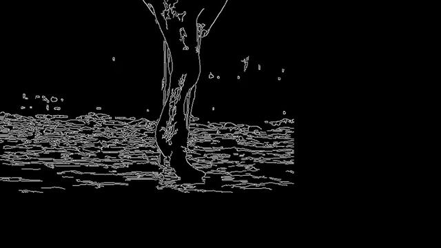 Setting threshold values for canny edge detector using trackbars in OpenCV
