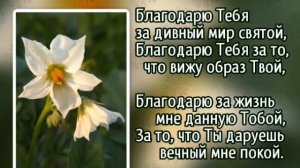 О, мой Господь, я весь в грехах... (+)