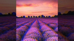 Rauf & Faik-OLA (slowed)