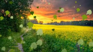 ФУтаж зеленые листья падают - ФУтаж зеленые листья летают - Footage green leaves fly fall