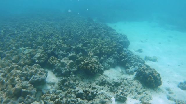 Остров Ко Липе, Тайланд. Koh Lipe.
