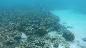 Остров Ко Липе, Тайланд. Koh Lipe.