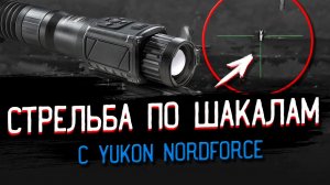 Подборка выстрелов по шакалам! Охота с тепловизором YUKON NORDFORCE XQ30.