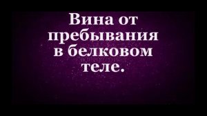 Вина от пребывания в белковом теле. #Сорадение #Вина #Тело
