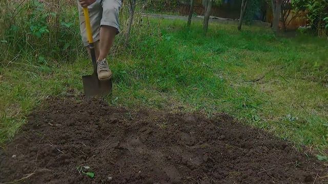 Отдых на даче 75 смотреть онлайн