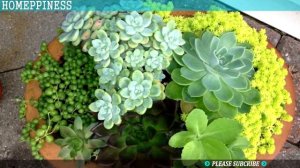 (MUST LOOK) 25+ Cheap Succulent Planters Ideas that Will Save Your Money