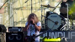 Год Змеи - Гарри Поттер @ Rock's Park Fest, 26.07.15