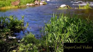 SuperCool Video №22 _ ЧуВаК! НаС КиНуЛи