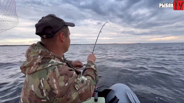 Отдых с палатками на Ладоге. Как поймать судака на Ладоге в шторм. смотреть онлайн