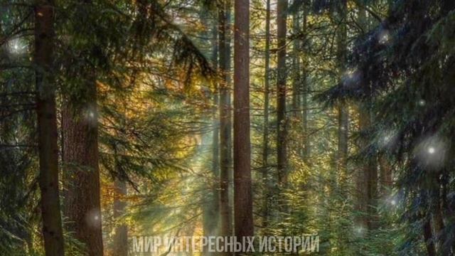 Опозорилась перед родителями парня. Шок. Теперь он бросит...