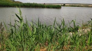 Капельный полив участка где нет электричества и водопровода