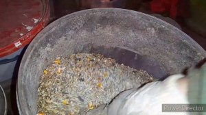 ✔Кормлю Этим Всегда Своих Кур,Яйценоскость 100 %!❗/Цены на Корма Для Кур//Состав Комбикорма для Кур