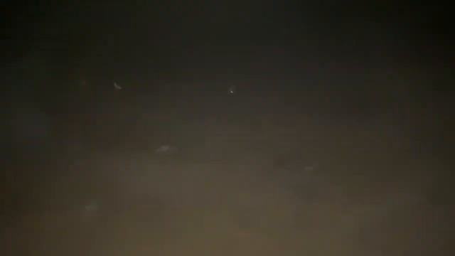 Grunion Run 2020, So Many Fish! Unbelievable!!