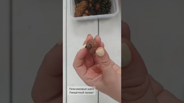 ?ОСЕННЯЯ КОРОБОЧКА?