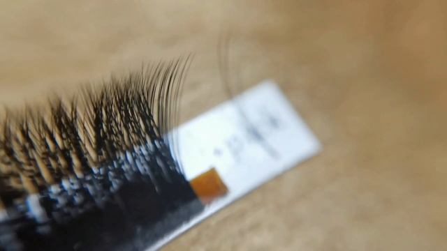 V-тип VOLUME. Как наращивать ресницы быстро и легко. Любой объем, готовые пучки. CODELASH