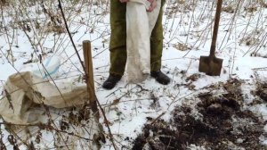 Идеальная ЗЕМЛЯ ДЛЯ РАССАДЫ.Где взять ИДЕАЛЬНЫЙ ГРУНТ ДЛЯ РАССАДЫ БЕСПЛАТНО. #Земля_для_рассады