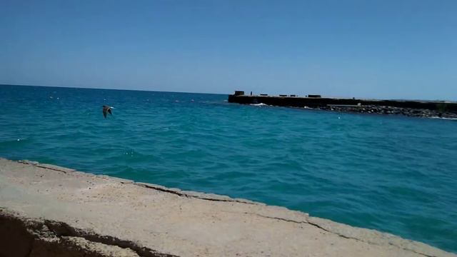 23.04.2018- пляж отеля Palm Beach Resort4* Hurghada. Egypt смотреть онлайн