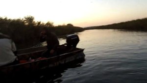 Тест лодки по чертежам АКЛ 4 - сможет ли жук остановить лодку =,)