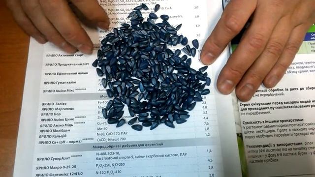 Предлагаем семена подсолнечника ЯСОН от АгроСпецПроект. Гибрид урожайный, устойчив к засухе. смотреть онлайн