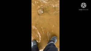 Зыбучие пески около дома?