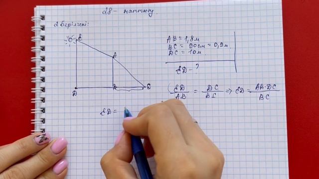 8 сынып физика, 28-жаттығу сынып және үй жұмысына арналған есептердің жауаптары смотреть онлайн