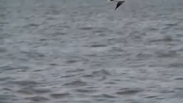 Samsung galaxy camera 160fps slow motion test смотреть онлайн