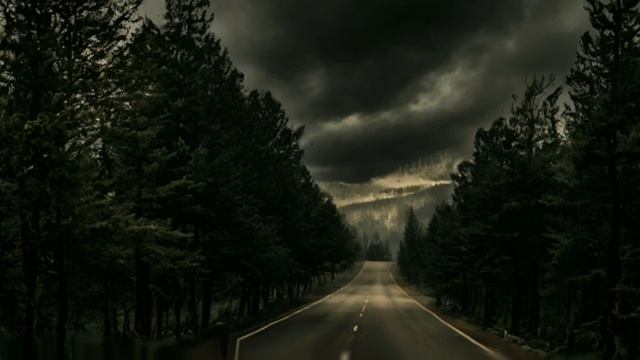 Магия в лесу. Духи леса. Обряды ритуалы в лесу. Леший.