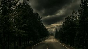 Магия в лесу. Духи леса. Обряды ритуалы в лесу. Леший.