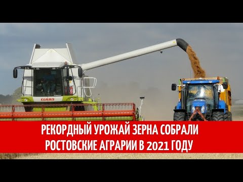 Рекордный урожай зерна собрали ростовские аграрии в 2021 году.
