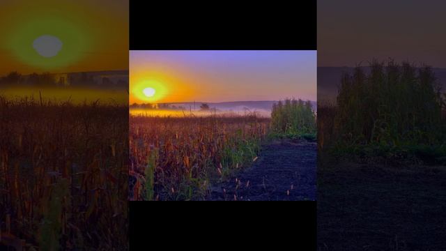 Безымянный проект смотреть онлайн