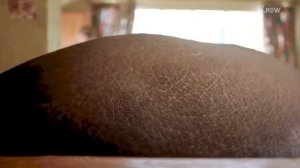 Невероятная дружба людей и диких животных