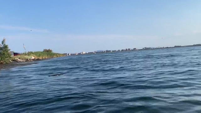 Шинейд О Коннор Болгария.Поморие Луга.Печаль.Экхарт Толле. Пусть все идут лесом😀 смотреть онлайн