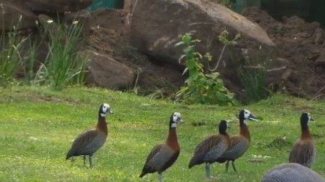 Vacant Land For Sale in Pennington, Pennington, South Africa for ZAR R 300 000 смотреть онлайн