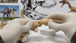 Пластилин для запекания Пластика СОНЕТ обзор