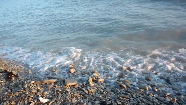 Чёрное море 2021! Архипо-Осиповка! Кемпинг на море! Рыбки, крабы, рачки! Море под водой!