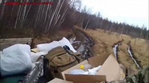 Сааскы булт - 2017 (Нам улууhа, Модут)