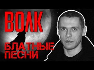 Волк | Блатные песни | Русский Шансон