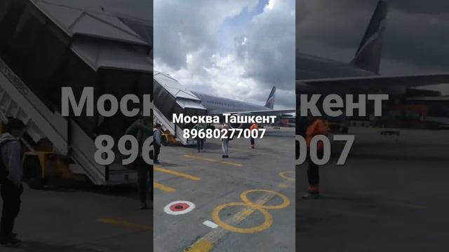 Авиабилет Москва Ташкент Москва Таджикистан Москва Узбекистан авиабилет #билет #аэропорт #ош