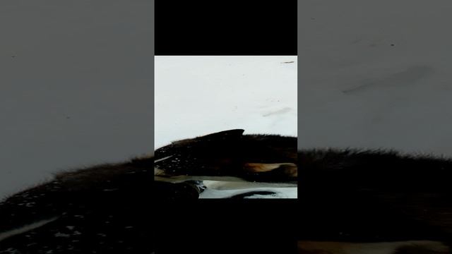 Эти глаза сводят с ума