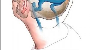 Каждый сутки ПОДНИМАЙТЕ НОГИ вверх! И Вы избавитесь от следующих БОЛЕЗНЕЙ... врачи в шоке!.....