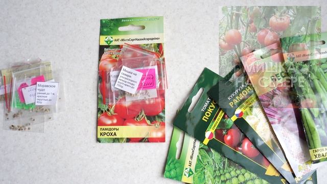 ТОМАТЫ ДЛЯ ОТКРЫТОГО ГРУНТА НА 2021 ГОД! ЭТИ СОРТА Я ПОСАЖУ! смотреть онлайн