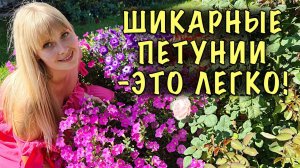 Хотите ШИКАРНЫЕ ПЕТУНИИ? Выбирайте ЭТИ сорта! Цветут ШАПКОЙ ВСЁ ЛЕТО и НЕ БОЯТСЯ ДОЖДЯ!