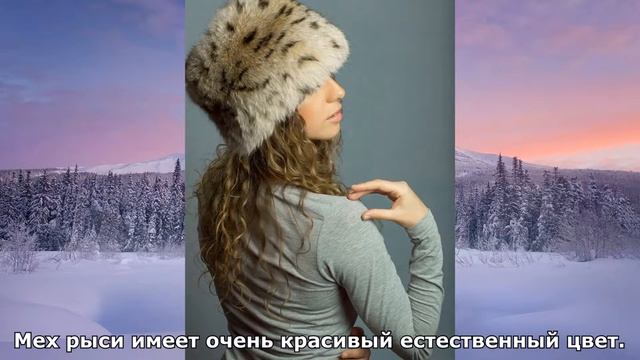 Кубанка рысь смотреть онлайн