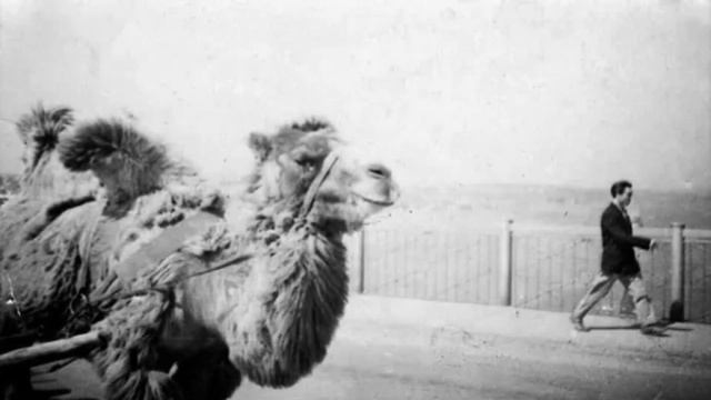 Новая история Казахстана - Ашаршылык. История дружбы казахов и казахстанских немцев, часть 1 смотреть онлайн