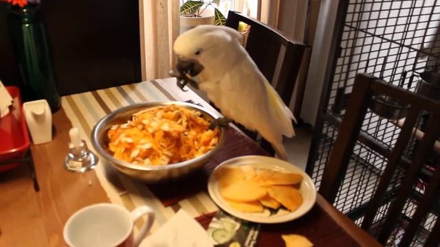 Ещё попугай и тыквенные семечки смотреть онлайн