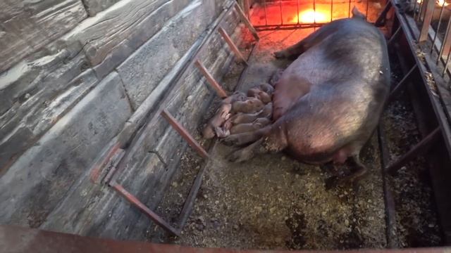 Празднуем ПАСХУ смотреть онлайн